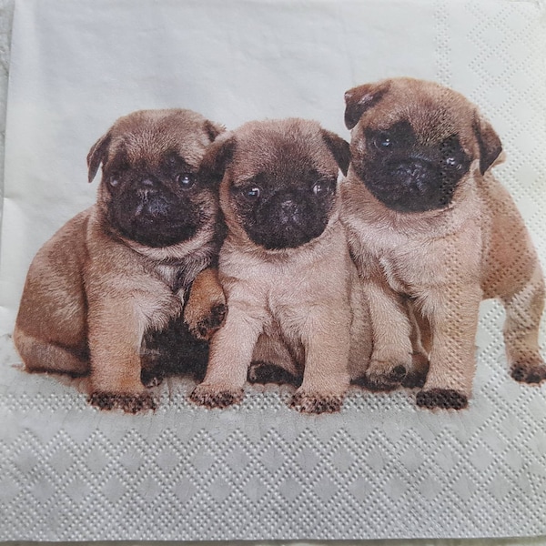 4x Decoupage Paper Napkins Pug dog #4931,Collectable napkins, craft supplies paper, dog lovers, puppies photo image, home pet, animals print