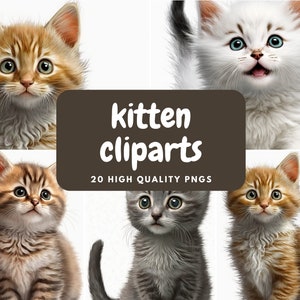 Kätzchen Clipart - 20 hochwertige PNGs - digitaler Download - kommerzielle Nutzung erlaubt