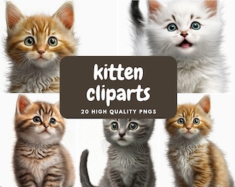 Kitten Clipart - 20 High Quality PNGs - Digital Download - Commercial Use Allowed