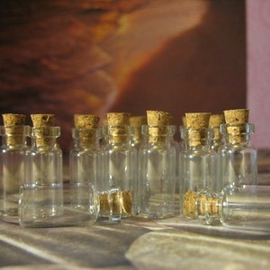 10 1.5ml vials. Small Glass Jars. Miniature Glass Bottles. Small Glass Bottle. Tiny Bottle. Glass Vial Jar. Small Glass Vial. Empty Bottle.