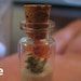 BittyBottle