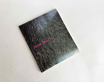 The James Siena Paperback Book Vintage 2000s Fine Art Gallery Museum Guide Anthology Paintings 1991 to 2001 Daniel Weinberg Gallery