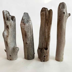 May include: Four pieces of driftwood in varying shapes and sizes. The wood has a weathered, gray appearance with visible knots and textures. The pieces stand upright against a white background, showcasing their natural, organic forms.