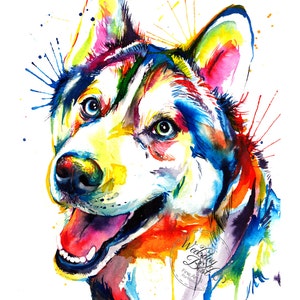 Colorful Siberian Husky Art Print Print of my Original Watercolor Painting image 2