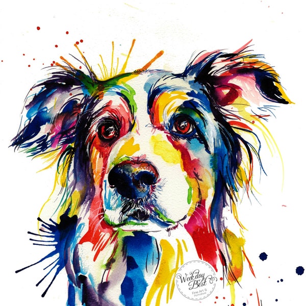 Impressão artística colorida de Border Collie - Impressão de pintura em aquarela original (frete grátis)
