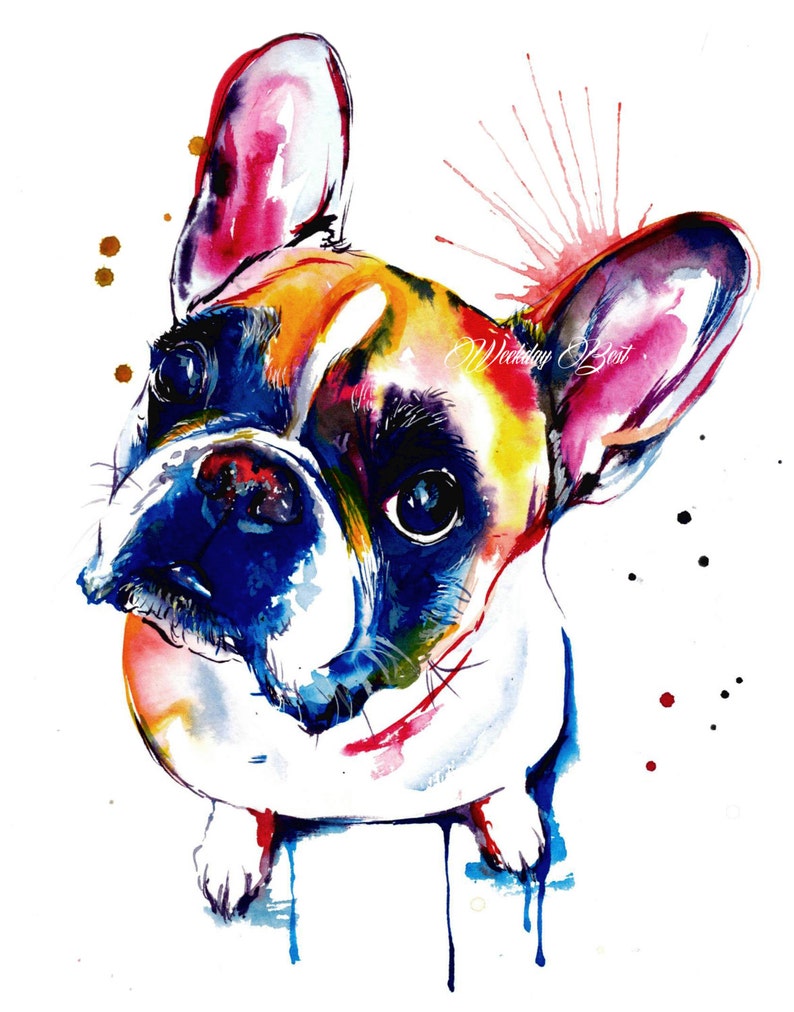 French Bulldog frenchie Art Print Print of Original - Etsy