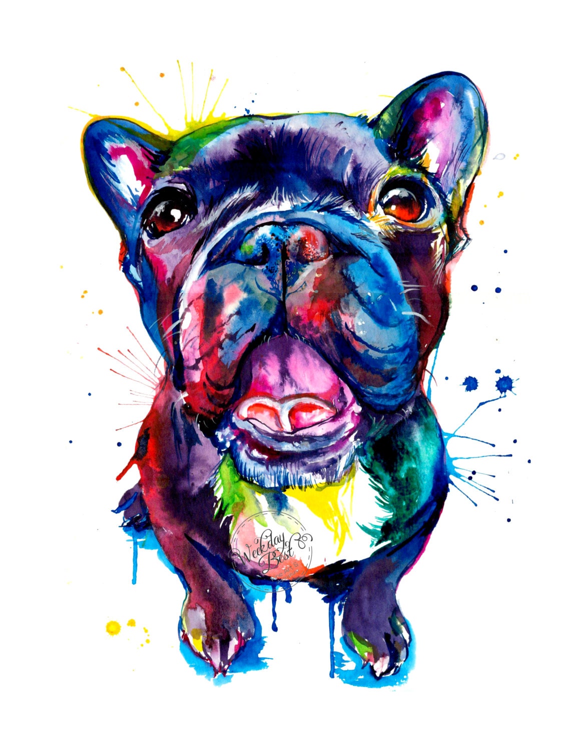 Black French Bulldog frenchie Art Print Print of Original - Etsy