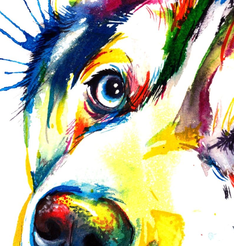 Colorful Siberian Husky Art Print Print of my Original Watercolor Painting image 3