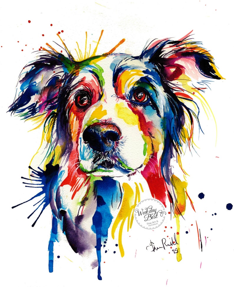 Colorful Border Collie Art Print - Print of Original Watercolor Painting (FREE Shipping)