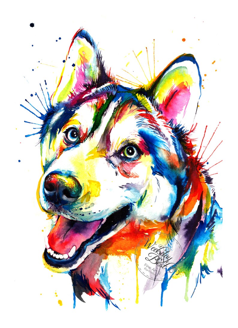 Colorful Siberian Husky Art Print Print of my Original Watercolor Painting image 2