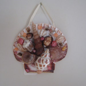 Sea Shell Wall Hanging Brown Red Shell Art Beach Decor Nautical Home Decor Wall Decor image 4