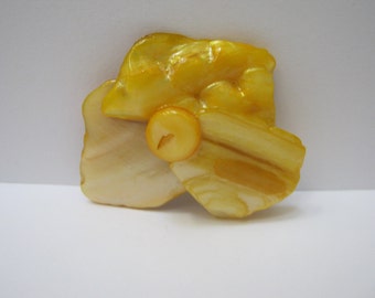 Könnte beinhalten: Eine gelbe und weiße Muschel-Brosche mit strukturierter Oberfläche.