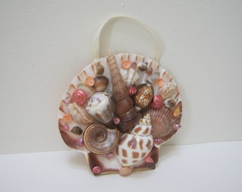 Sea Shell Wall Hanging Brown Red Shell Art Beach Decor Nautical Home Decor Wall Decor