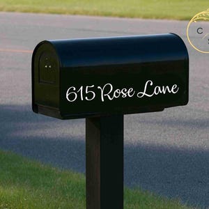May include: A black mailbox with the address "615 Rose Lane" in white script. The mailbox is mounted on a black post and is set against a backdrop of green grass, a sidewalk, and a road.