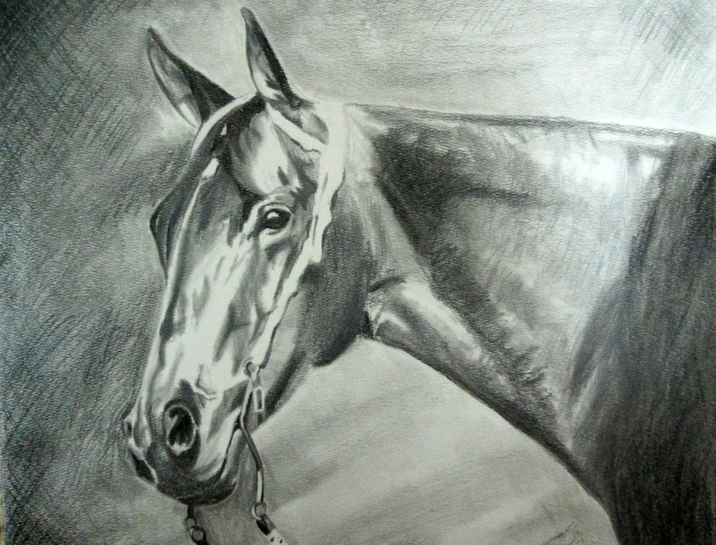Horse Drawing - Pencil Portrait - Pet Drawing - Custom Portrait - Pencil Sketch  Portrait - Horse Sketch - Animal Portrait from Photo .br