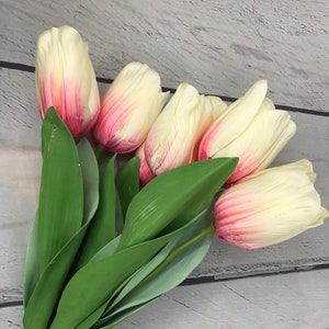 Cream Pink Tulip Bundle, cream Pink Tulip flower, Cream Pink Tulip for wreaths, Tulip Flowers, Tulip stems, Keleas , Keleas Floral