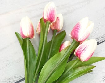White and Pink Tulip Bundle, White-Pink Tulip flower, Cream & Pink Tulip for wreaths, Tulip Flowers, Tulip stems, Keleas , Keleas Floral