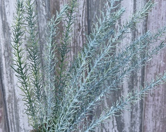 Skinny snow covered Pine Stem for Christmas floral designs, Christmas greenery for wreath making and floral design by Keleas