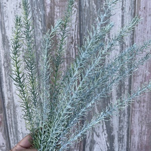 Skinny snow covered Pine Stem for Christmas floral designs, Christmas greenery for wreath making and floral design by Keleas