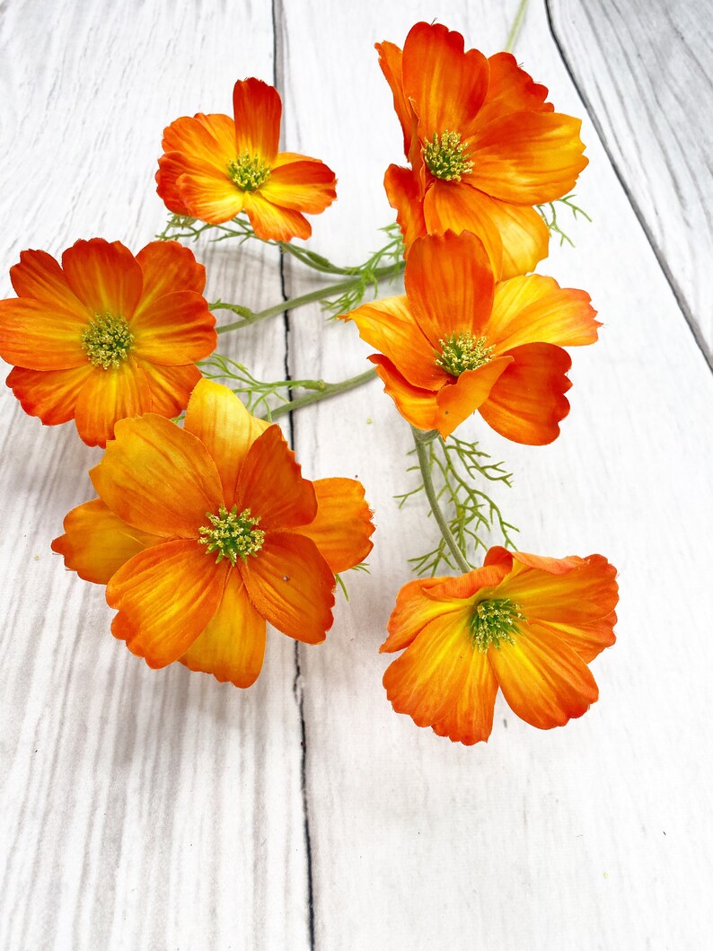 Orange Cosmos Pick Orange Flower Stem Flower Stem for Etsy