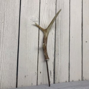 Fake Antler, Antler,for floral Decor, Antler for Chrismtas Trees, Rustic Christmas Antler, articial Antler, Keleas, Floral Supplies