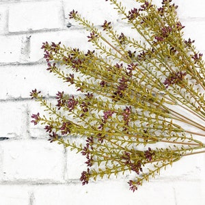 May include: A bunch of dried, green stems with small, purple flower buds. The stems are arranged in a fan shape against a white brick background.
