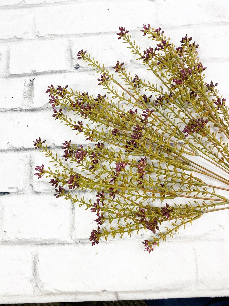 May include: A bunch of dried, green stems with small, purple flower buds. The stems are arranged in a fan shape against a white brick background.