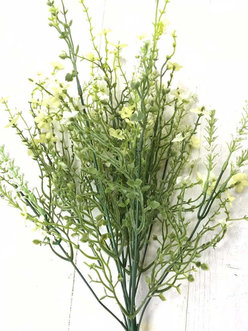 White Filler Flowers For Sale White Statice Filler Shop 1800flowers