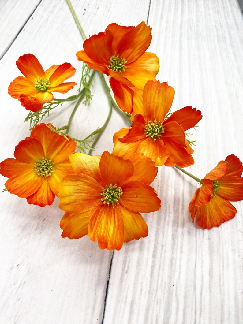 Orange Cosmos Pick Orange Flower Stem Flower Stem for Etsy