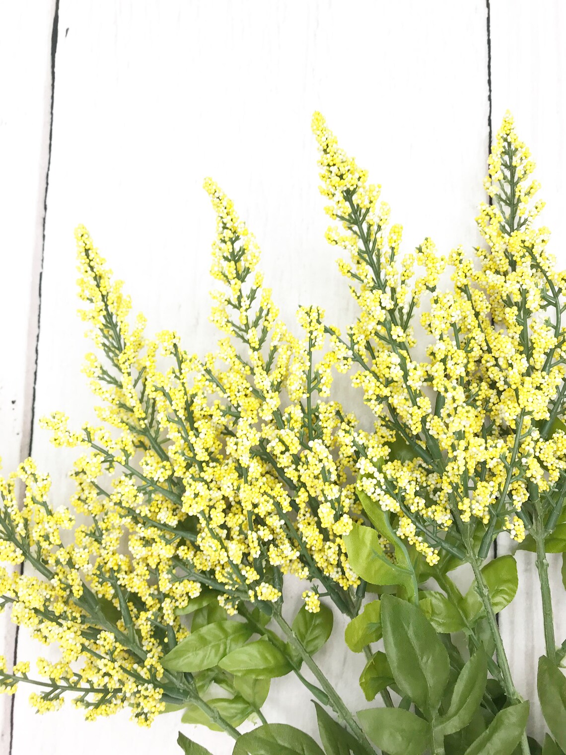 Yellow Heather Bush Yellow Filler flower Yellow flowers for Etsy