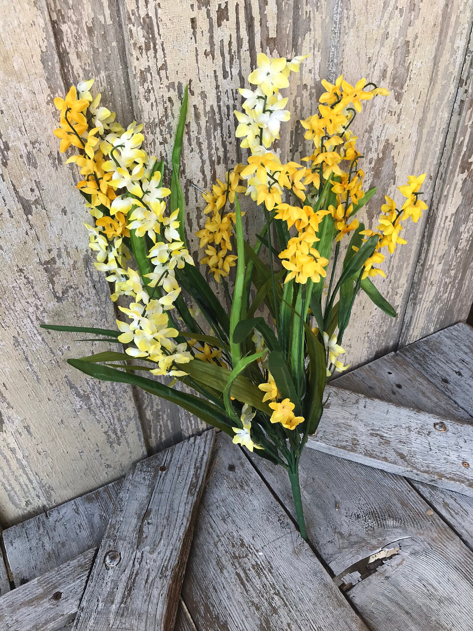 Yellow Bell Flower Bush Bell flower Bell flowers for Etsy