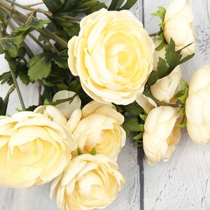 Beige Ranunculus Bush, Ranunclus Bush, Spring Flowers, Hawaii Flower ...