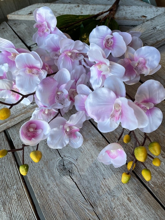 Arbusto de orquídeas Flor de flores de seda de orquídeas de - Etsy España