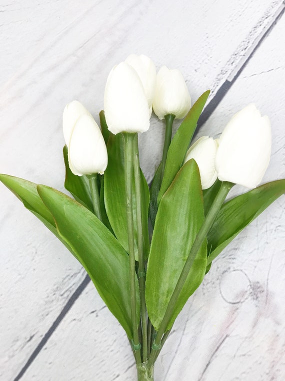 Paquete de tulipán crema flor de tulipán blanco tulipán de - Etsy España