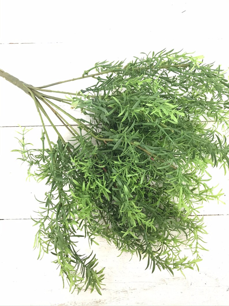 Rosemary Bush Greenery Winter Rosemary Greenery Bush Etsy