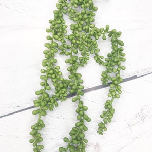 Strings of Pearl Artificial Succulent, Succulents, Succulent stems, greenery and floral, greenery decor, Keleas, keleas greenery