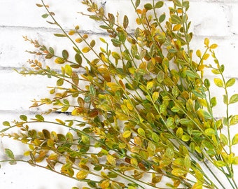 Fall Boxwood Bush Artificial Greenery Bush for silk floral design and wreath making by Keleas