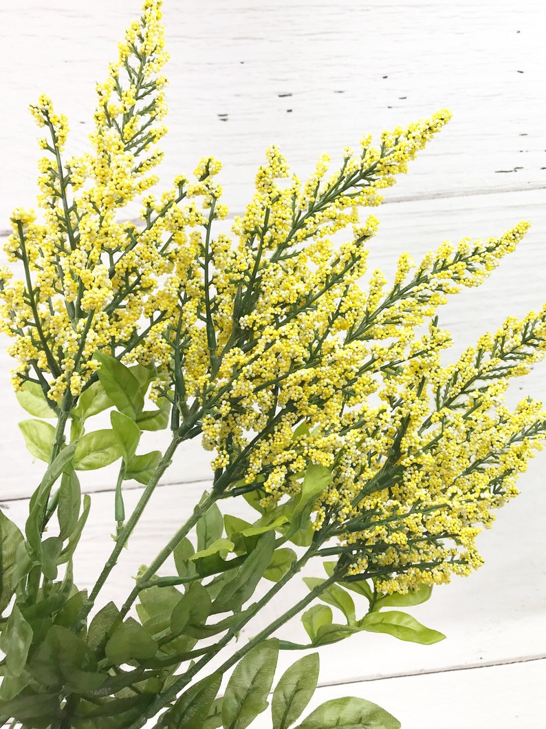 Yellow Heather Bush Yellow Filler flower Yellow flowers for Etsy