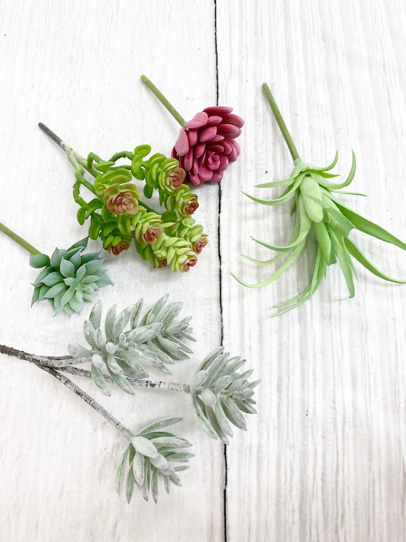 Assortment Bag of Artificial Succulent Picks, Succulents, Succulent Stems,  Greenery and Floral, Greenery Decor, Keleas, Keleas Greenery - Etsy