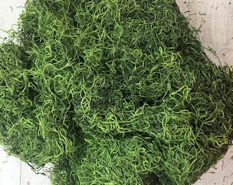 Dark Green Spanish Moss,Spanish Moss,Spanish Moss Bulk, Dried Spanish moss,Preserved Spanish moss,Moss for arrangements, Moss, Keleas, Kelea