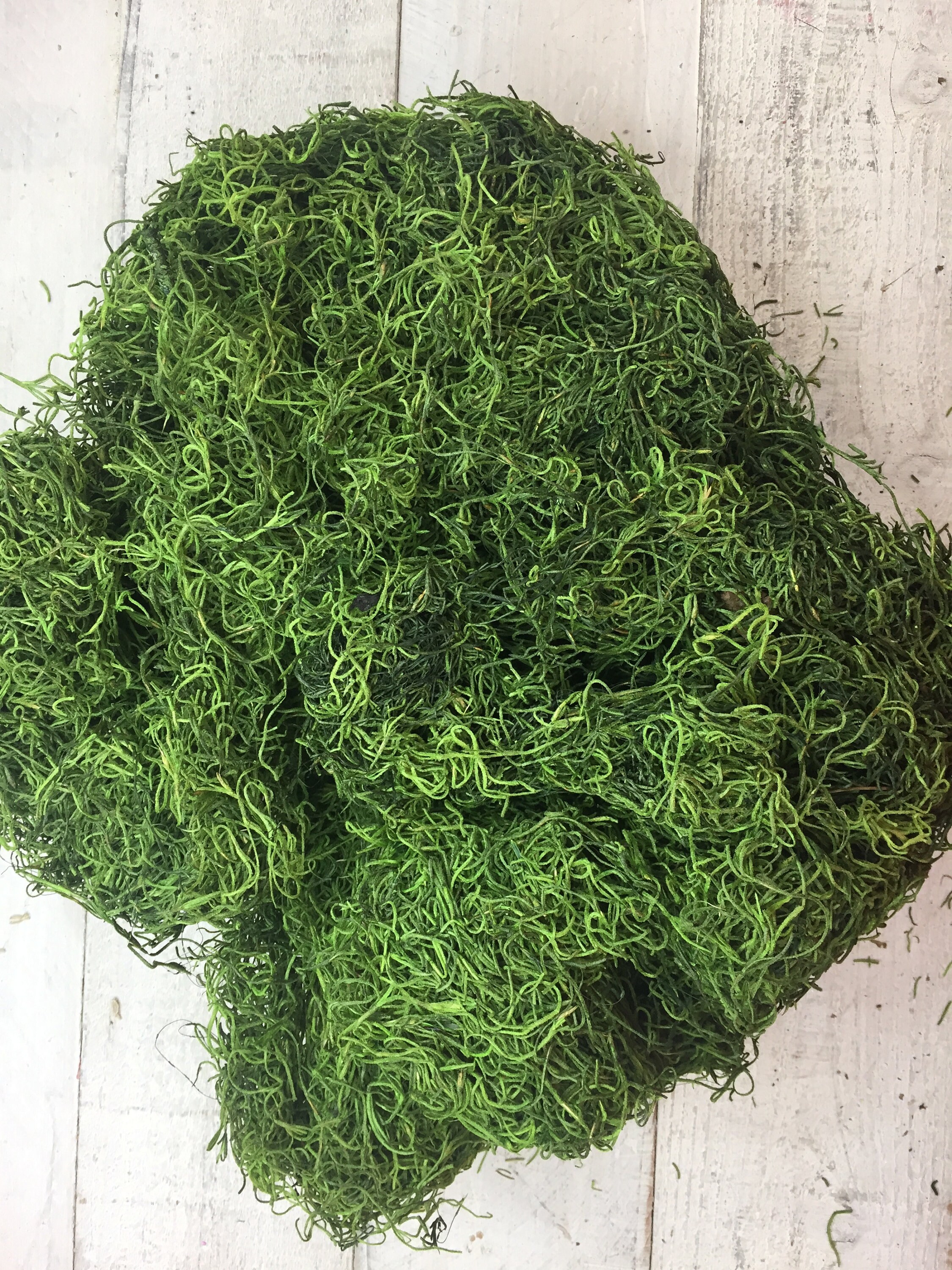 Dark Green Spanish Mossspanish Mossspanish Moss Bulk Dried Etsy
