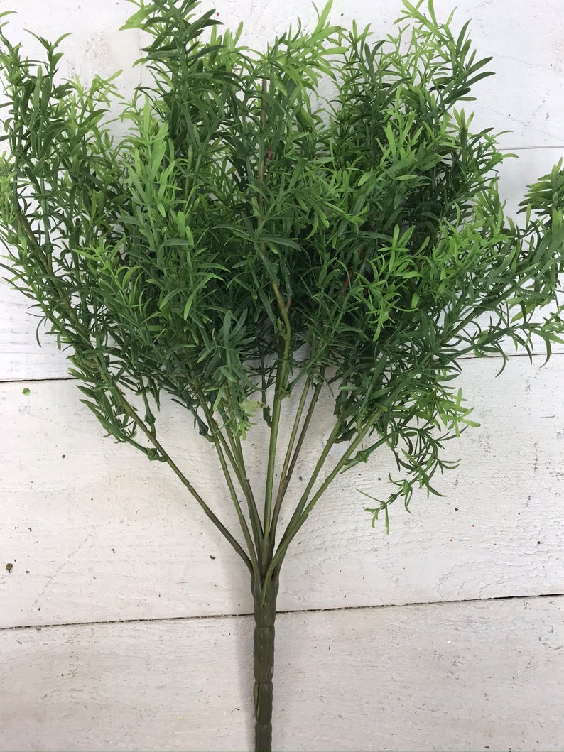 Rosemary Bush Greenery Winter Rosemary Greenery Bush Etsy