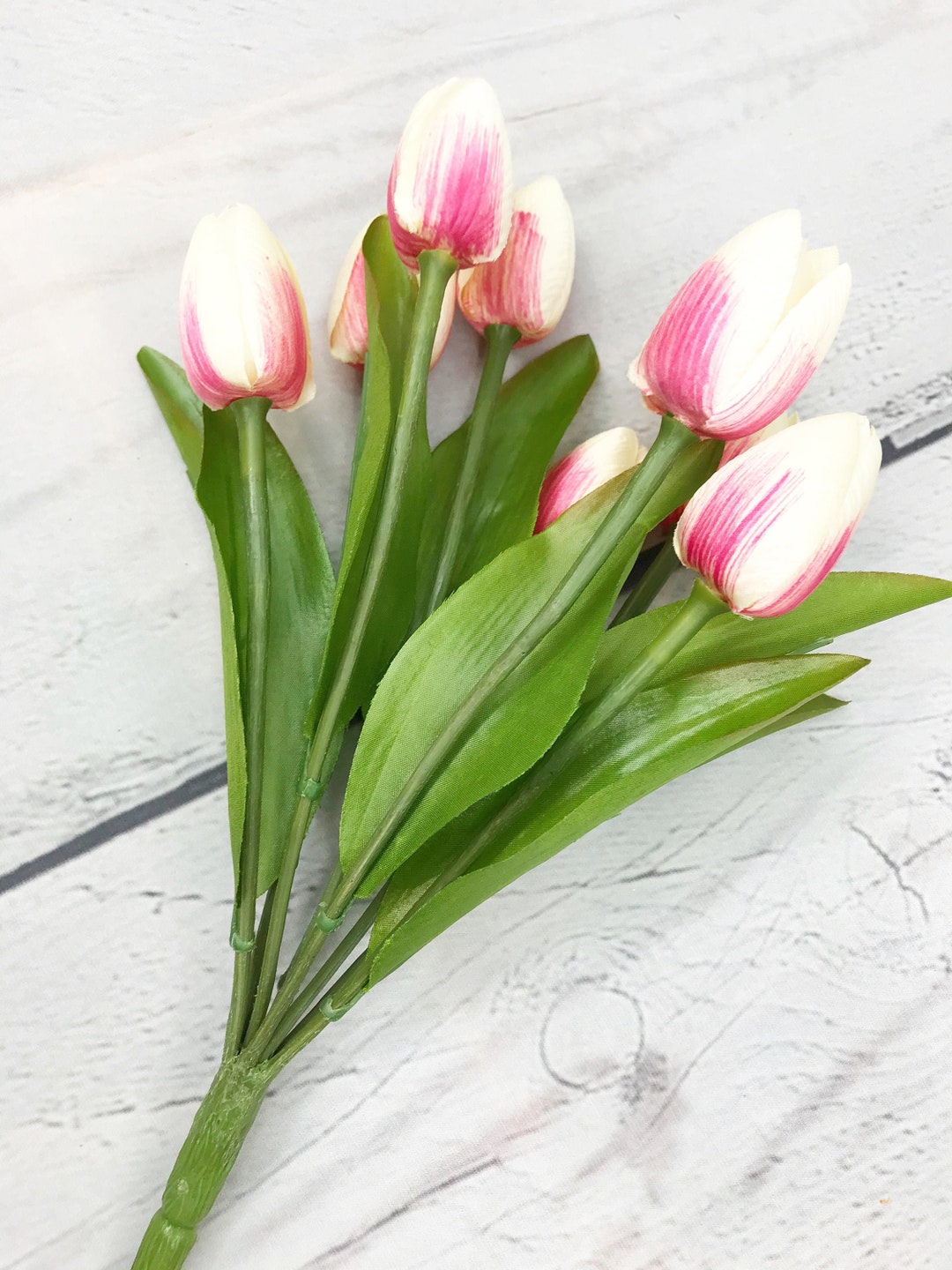 White and Pink Tulip Bundle, Whitepink Tulip Flower, Cream & Pink