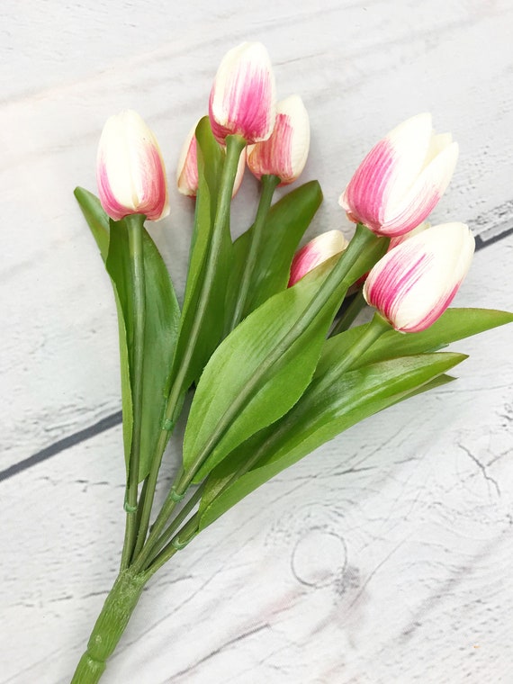 Paquet de tulipes blanches et roses fleurs de tulipes - Etsy France
