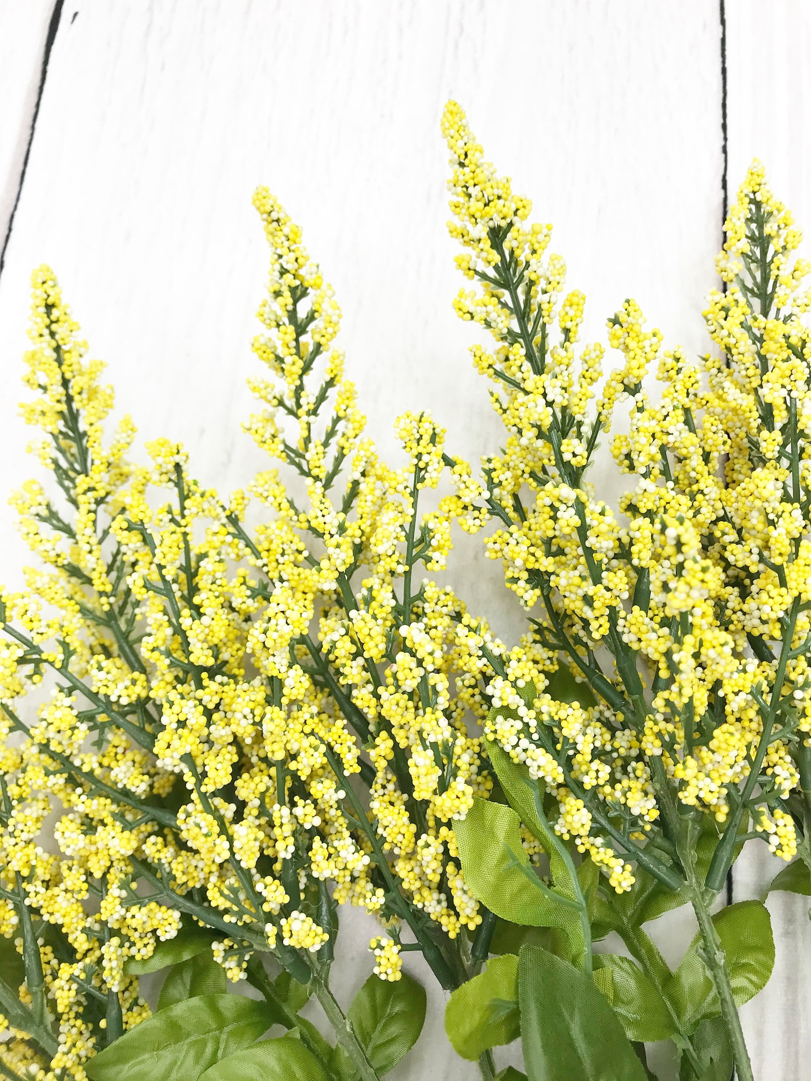 Yellow Heather Bush Yellow Filler flower Yellow flowers for Etsy