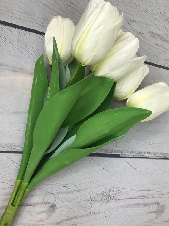Paquet de tulipes blanches à 6 têtes Fleur de tulipe blanche - Etsy Canada