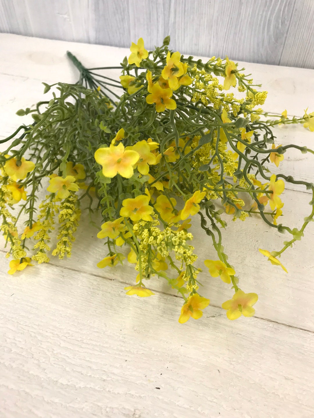 Yellow Filler Flower Bush, Flower and Greenery, Greenery and Flower