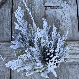 May include: A frosted pine sprig with a pine cone, perfect for winter decor.