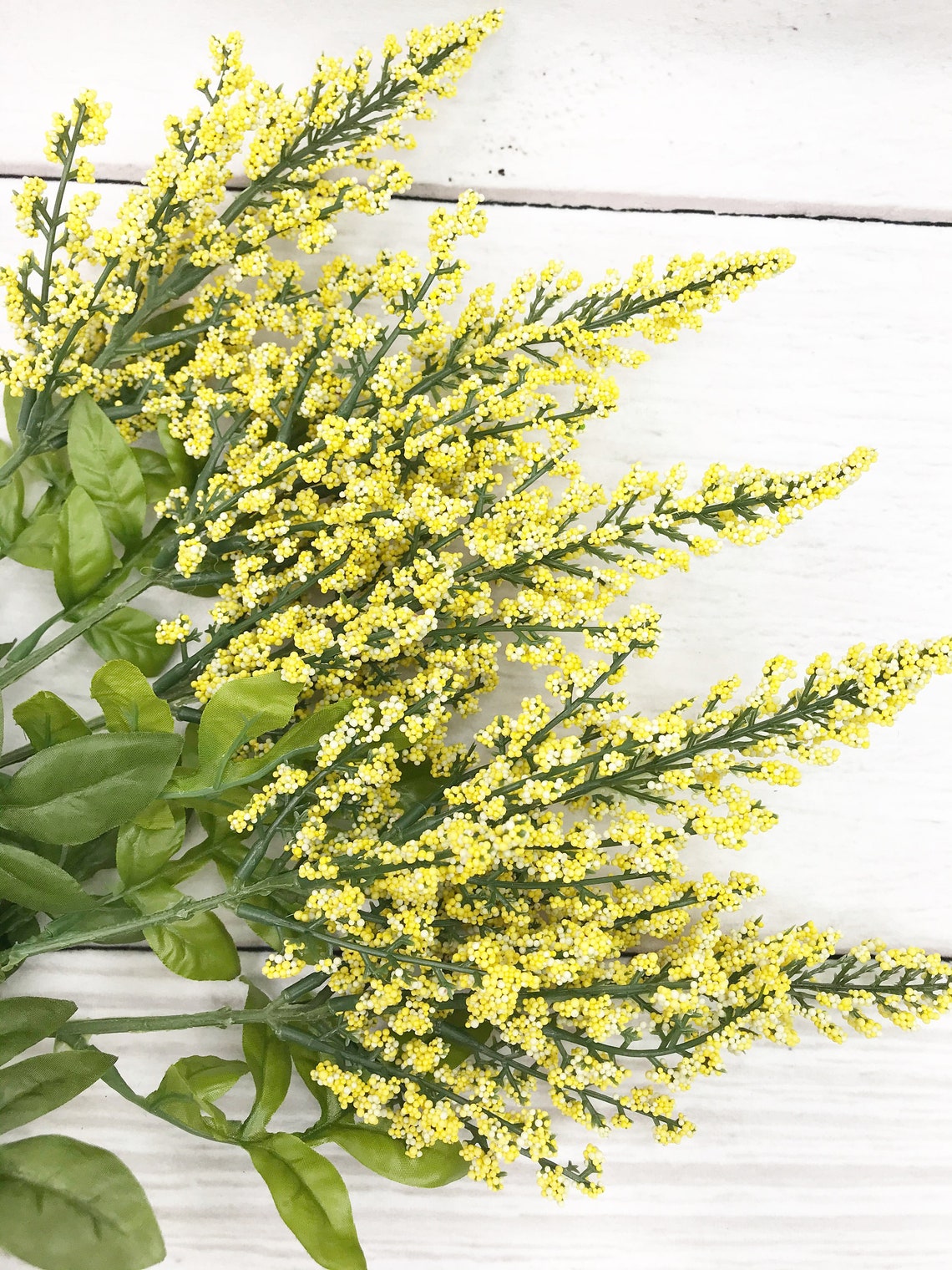 Yellow Heather Bush Yellow Filler flower Yellow flowers for | Etsy