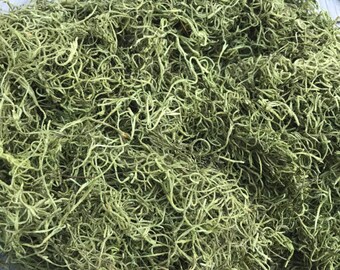 Light Green Spanish Moss, Spanish Moss,Spanish Moss Bulk, Dried Spanish moss, Preserved Spanish moss, Moss for arrangements, Moss, Keleas